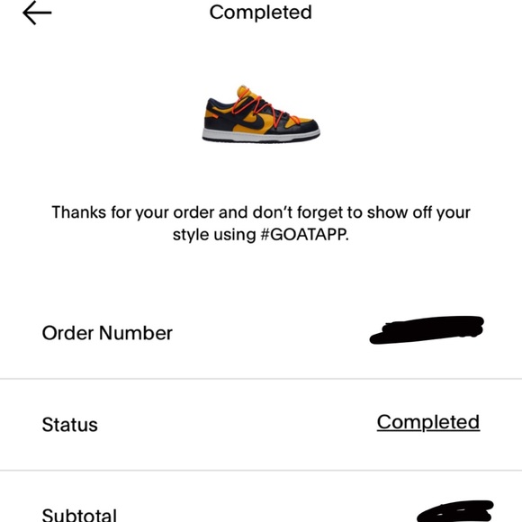 Off-White Michigan Dunks - Picture 5 of 5